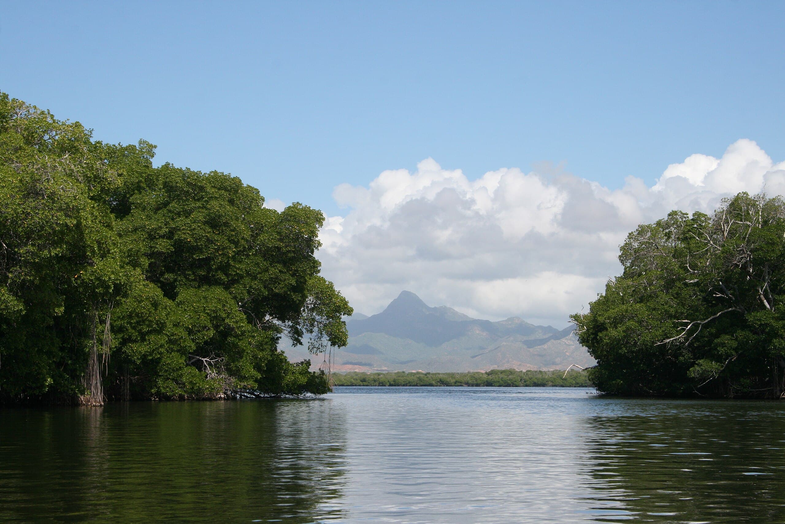 Parque Nacional Laguna de La Restinga