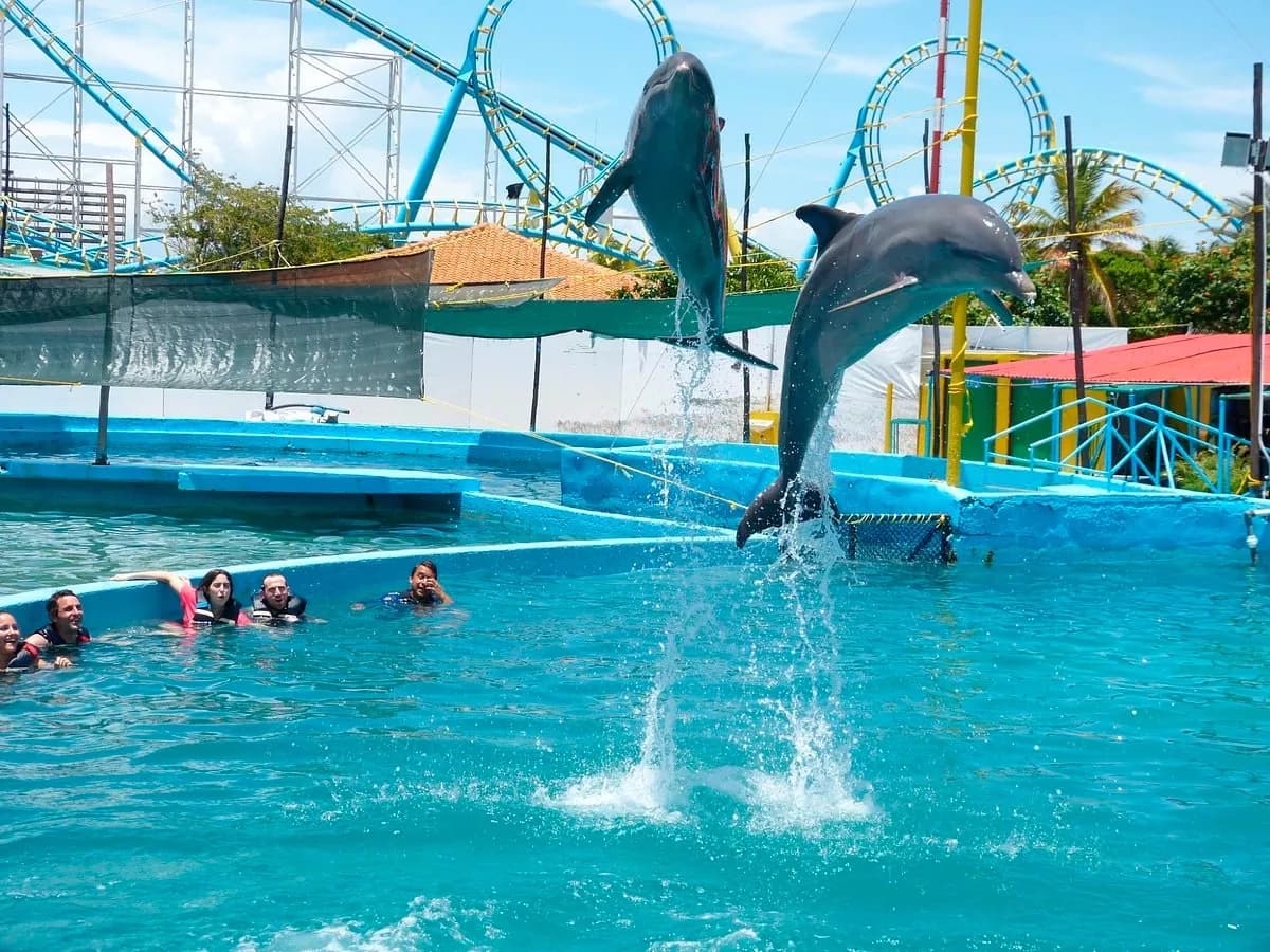 Actividades y Excursiones